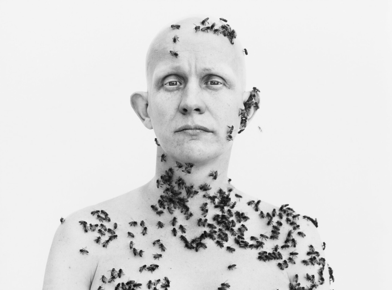 Richard Avedon’s In the American West: A Portrait Series That Turned Its Lens from Glamour to Grit