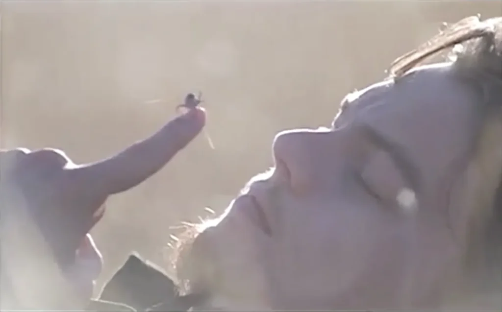 Chris Cunningham Commercial Work