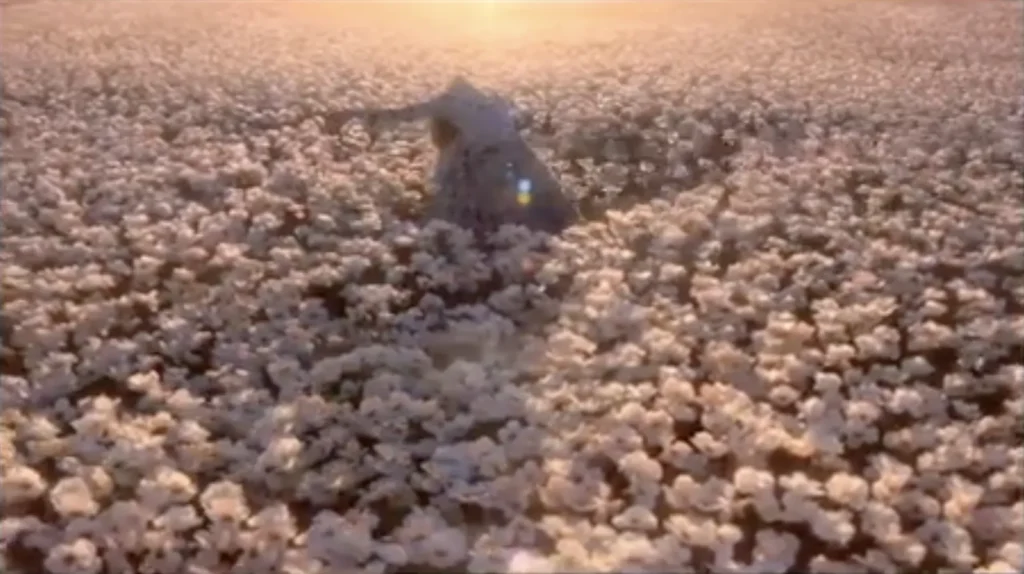 Chris Cunningham Commercial Work