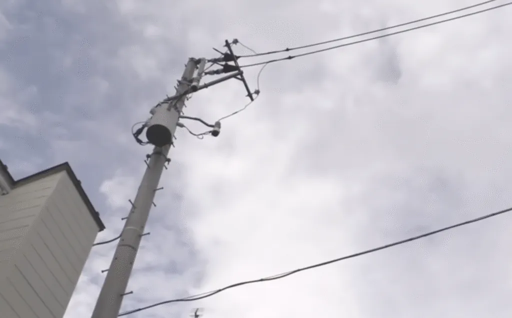 Japanese Audiophile Hi Fi Sound System