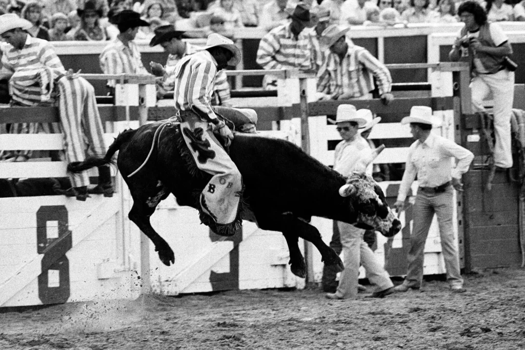 Texas Prison Rodeo