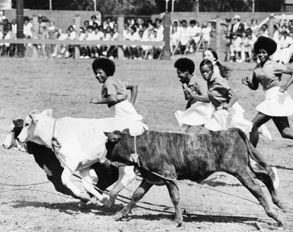 Texas Prison Rodeo