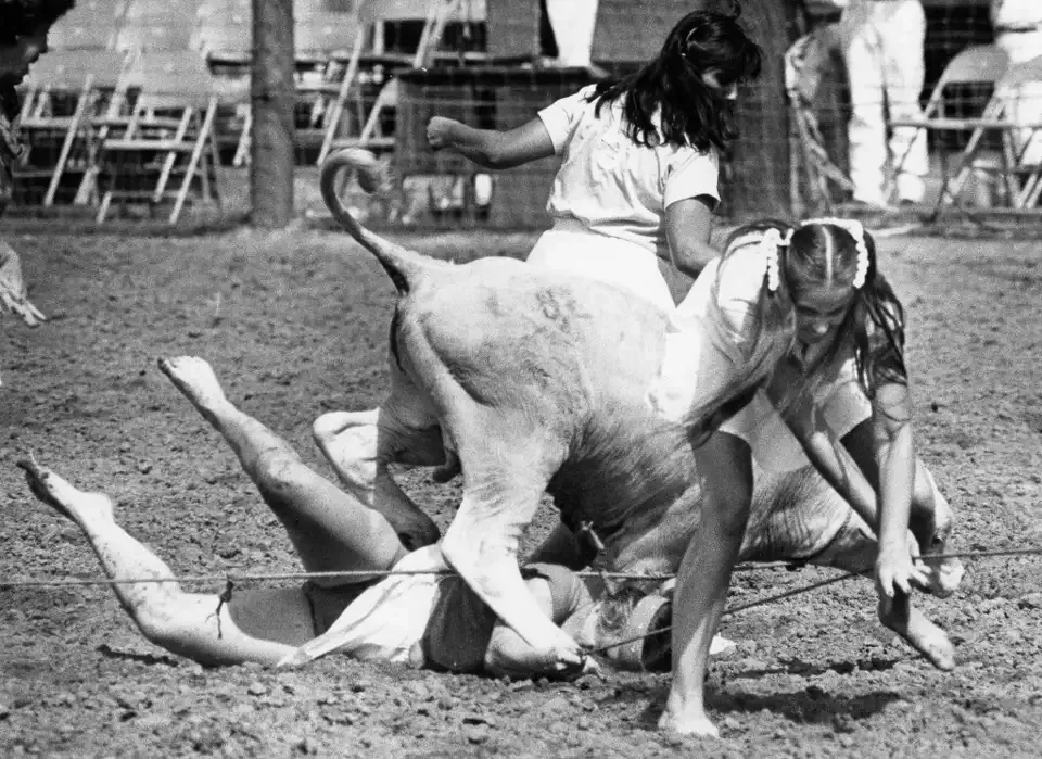 Texas Prison Rodeo