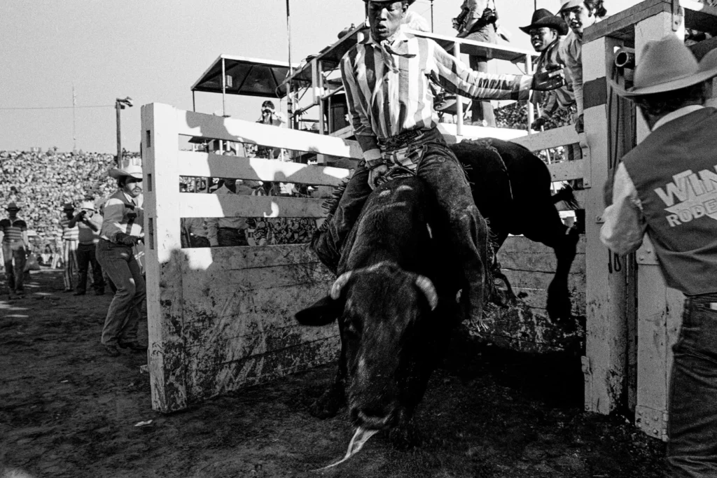Texas Prison Rodeo
