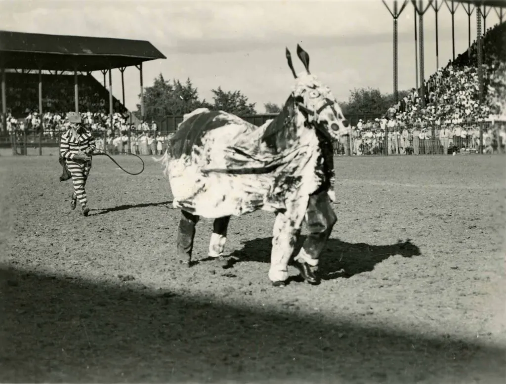 Texas Prison Rodeo