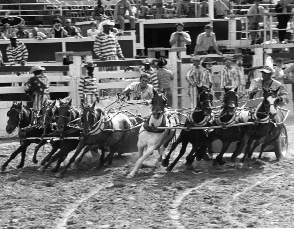 Texas Prison Rodeo