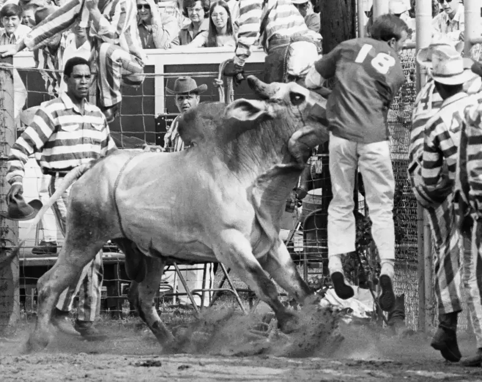 Texas Prison Rodeo