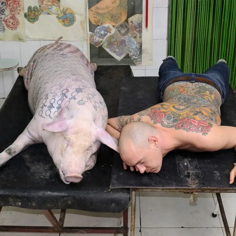 Wim Delvoye's X-Ray Gothic Stained Glass Art