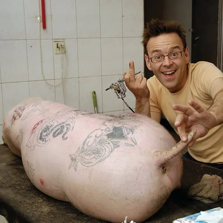 Wim Delvoye's X-Ray Gothic Stained Glass Art