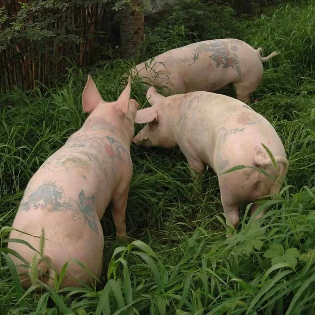 Wim Delvoye's X-Ray Gothic Stained Glass Art