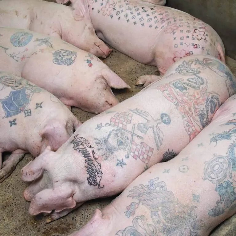 Wim Delvoye's X-Ray Gothic Stained Glass Art