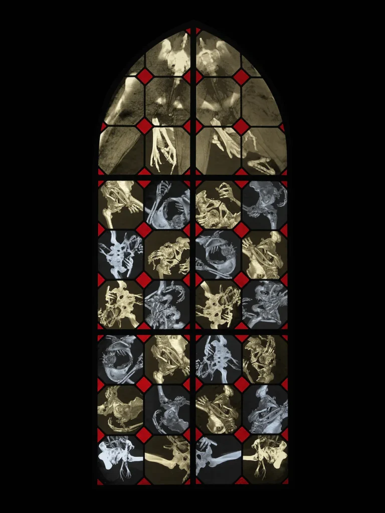 Wim Delvoye's X-Ray Gothic Stained Glass Art