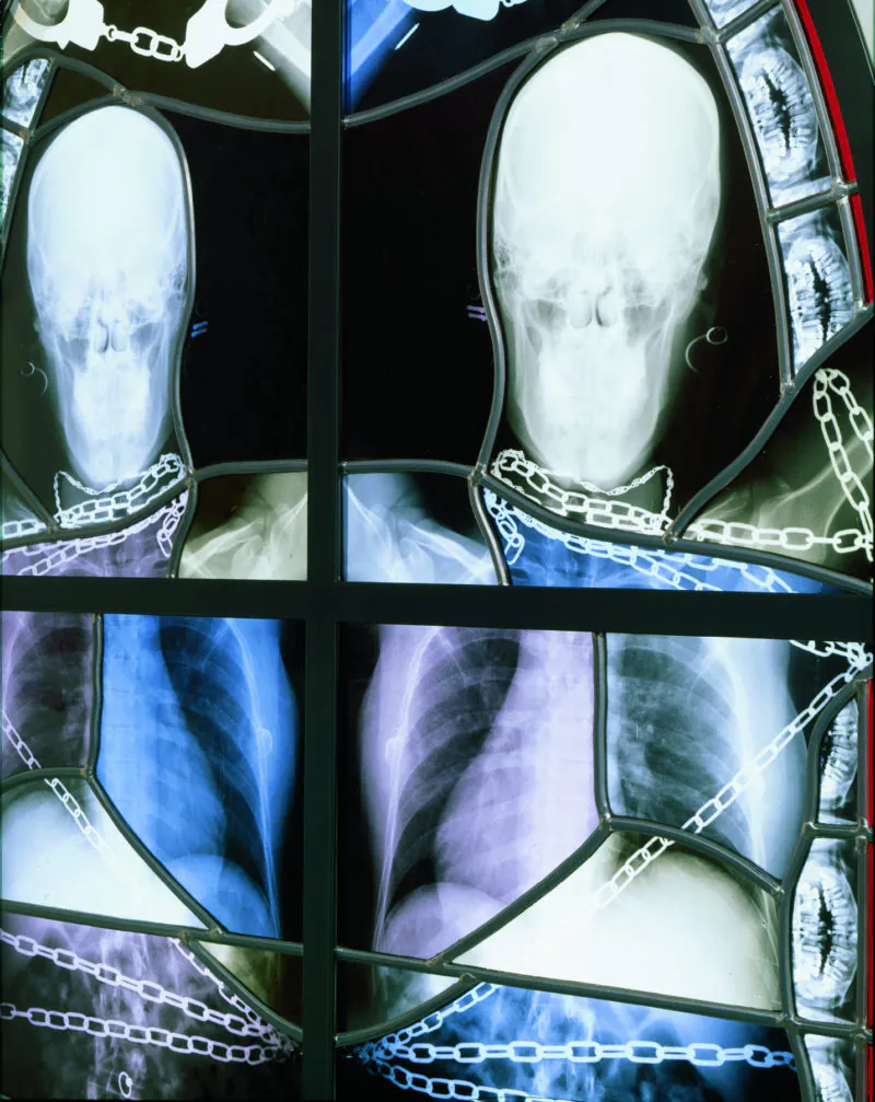 Wim Delvoye's X-Ray Gothic Stained Glass Art