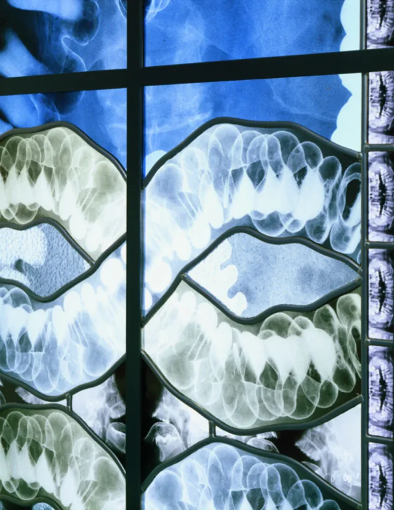 Wim Delvoye's X-Ray Gothic Stained Glass Art