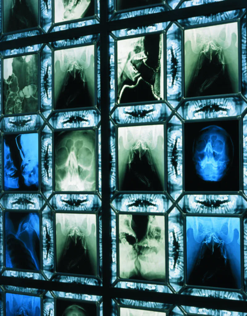 Wim Delvoye's X-Ray Gothic Stained Glass Art