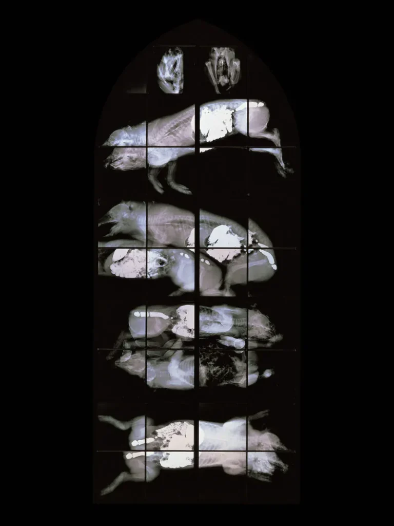Wim Delvoye's X-Ray Gothic Stained Glass Art