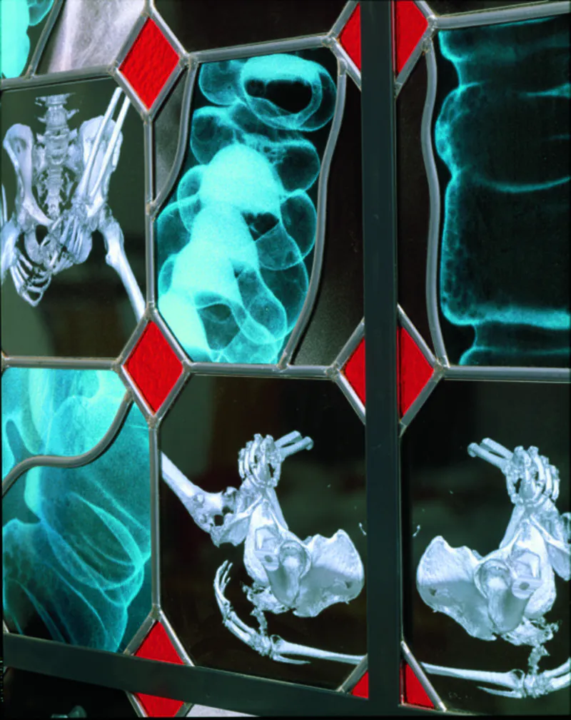 Wim Delvoye's X-Ray Gothic Stained Glass Art